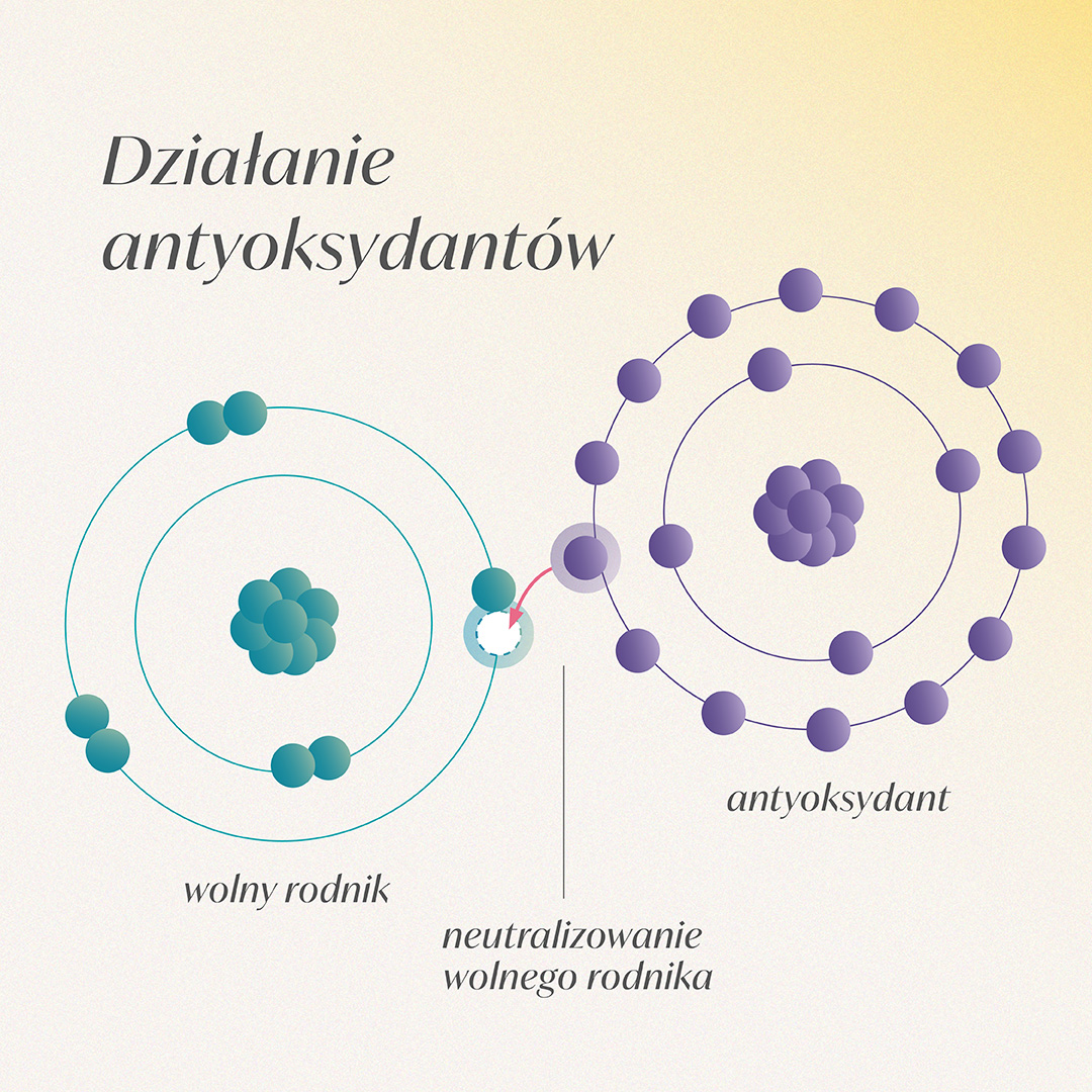 Działanie antyoksydantów