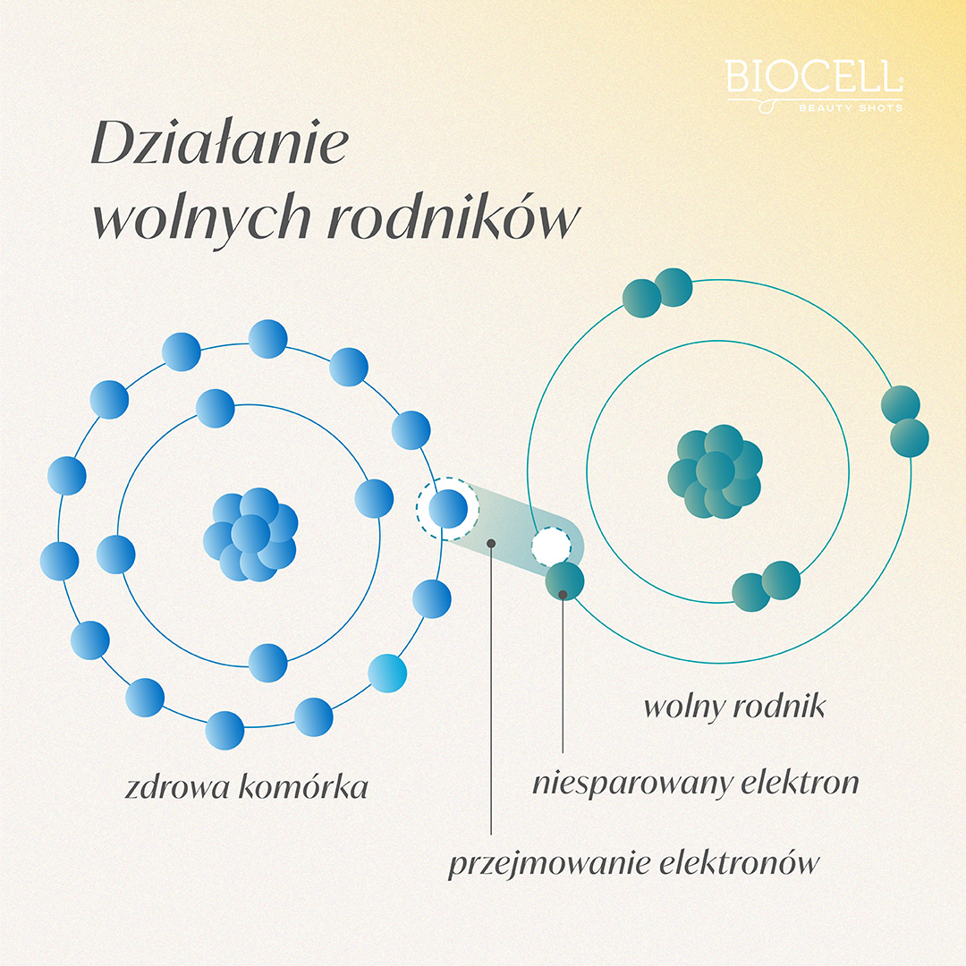 Działanie wolnych rodników